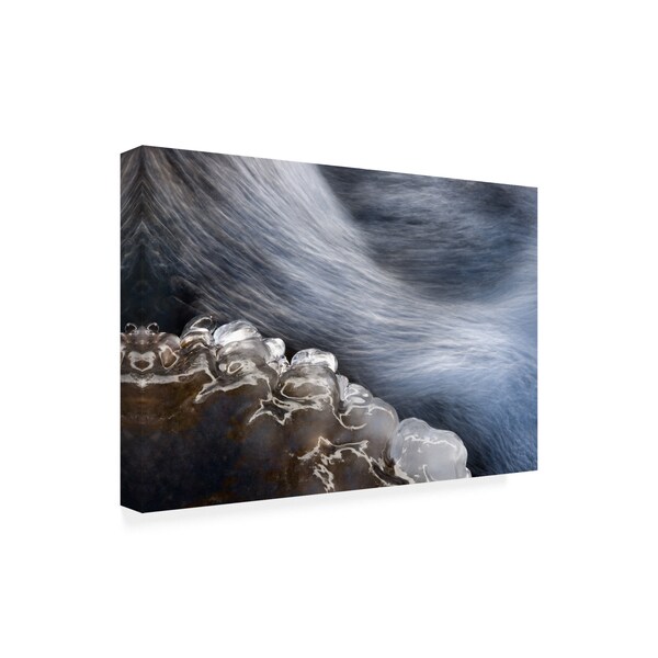 Vito Miribung 'Ice And Water' Canvas Art,16x24
